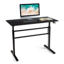 Standing Desk Height Adjustable Sit to Stand Workstation w/Crank Handle HW65655