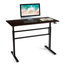 Standing Desk Height Adjustable Sit to Stand Workstation w/Crank Handle HW65655