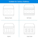 Adjustable Bed Base Electric Bed Frame with Massage Remote Control Queen EP24950US