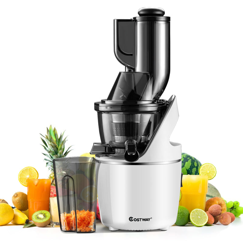 Juicer Machines Slow Masticating Juicer Cold Press Extractor w/ 3" Chute EP24890US