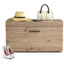 Shoe Rack Storage Cabinet Storage Chest Organizer Entryway Bedroom HW67598