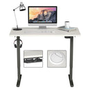 Electric Standing Desk Sit to Stand Height Adjustable Dual Motor