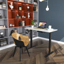 Electric Standing Desk Sit to Stand Height Adjustable Dual Motor