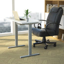 Electric Standing Desk Sit to Stand Height Adjustable Dual Motor