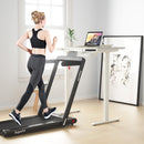 Electric Standing Desk Sit to Stand Height Adjustable Dual Motor