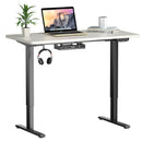 Electric Standing Desk Sit to Stand Height Adjustable Dual Motor