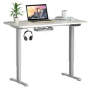 Electric Standing Desk Sit to Stand Height Adjustable Dual Motor