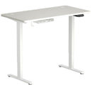 Electric Standing Desk Sit to Stand Height Adjustable Dual Motor