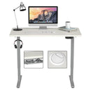 Electric Standing Desk Sit to Stand Height Adjustable Dual Motor