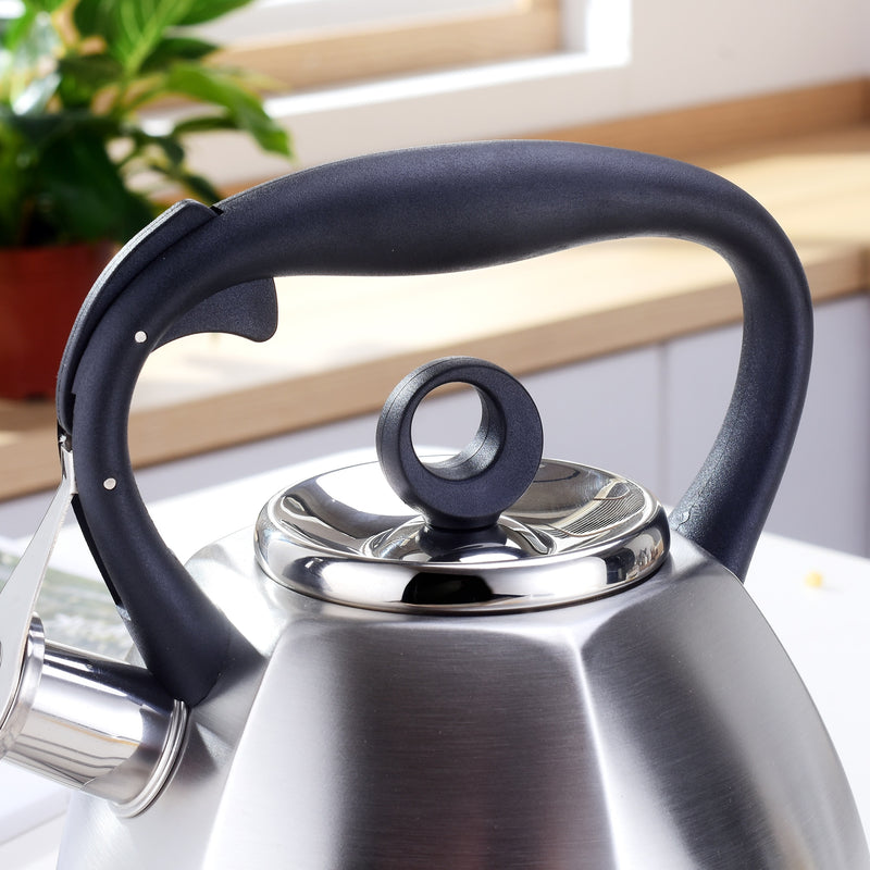 3L Stainless Steel Tea Kettle for Stovetop Whistling Tea Pot,Stovetop Kettle