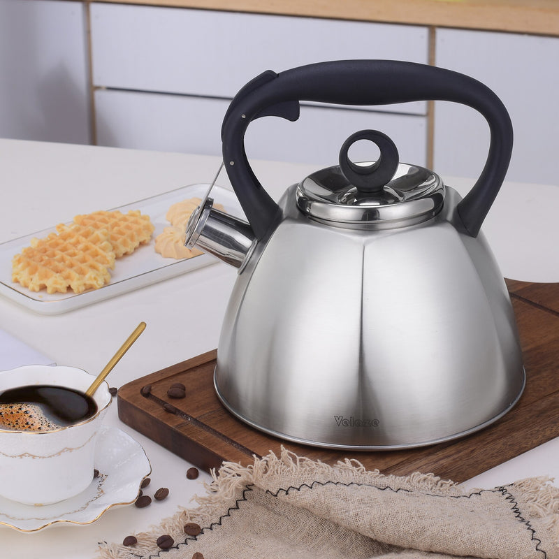 3L Stainless Steel Tea Kettle for Stovetop Whistling Tea Pot,Stovetop Kettle