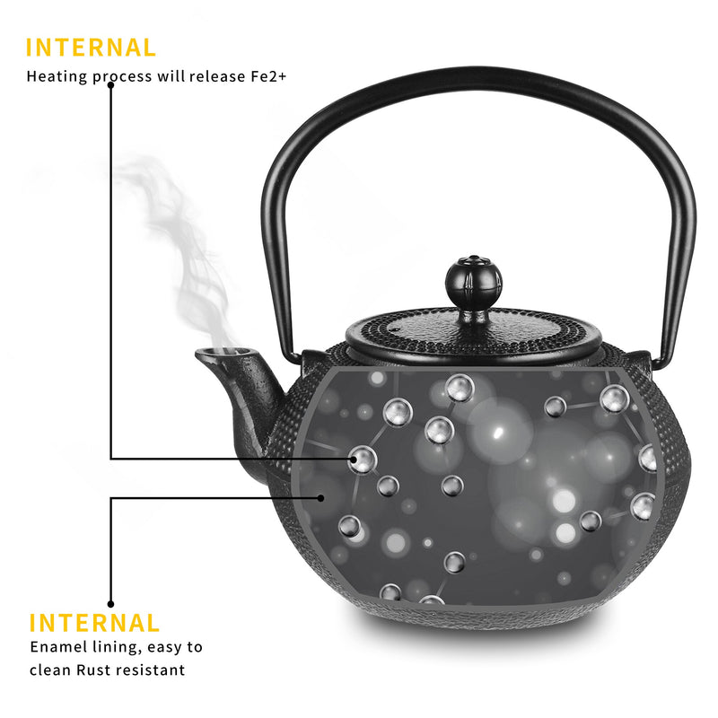 Japanese Style 1100ML Durable Cast Iron Teapot Set