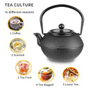 Japanese Style 1100ML Durable Cast Iron Teapot Set