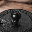 Japanese Style 1100ML Durable Cast Iron Teapot Set