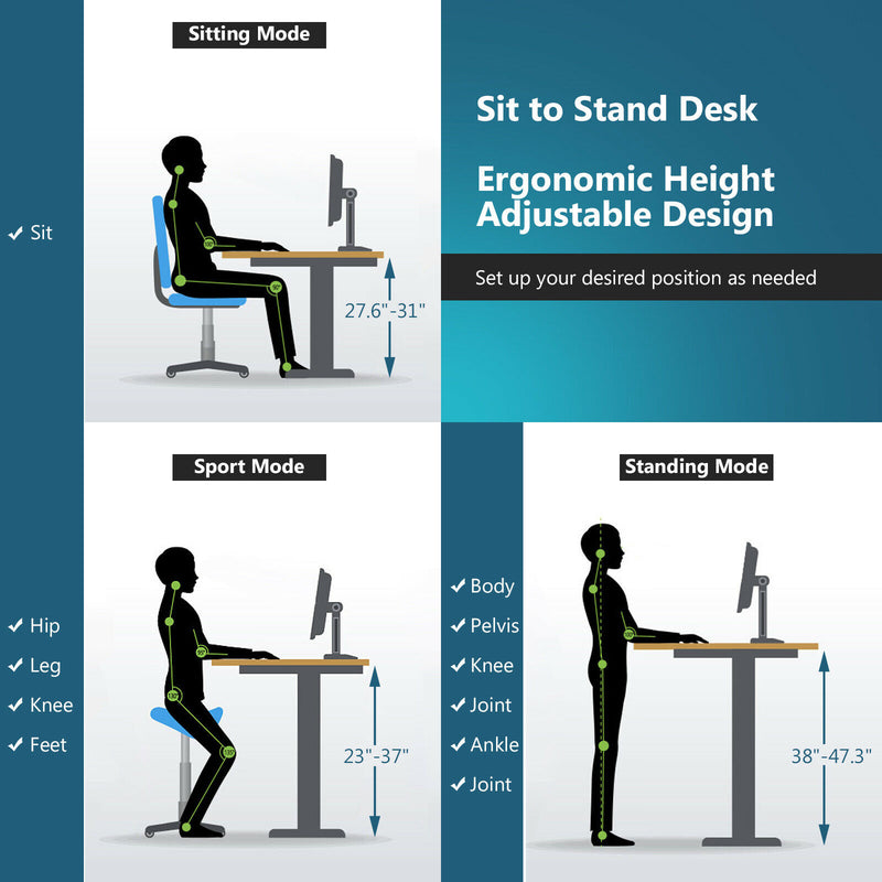 Electric Standing Desk Sit Stand Height Adjustable Dual Motor Black HW67380US-BK+HW68157WH-M