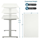 Electric Standing Desk Sit Stand Height Adjustable Dual Motor Grey HW67380US-GR+HW68157WH-M