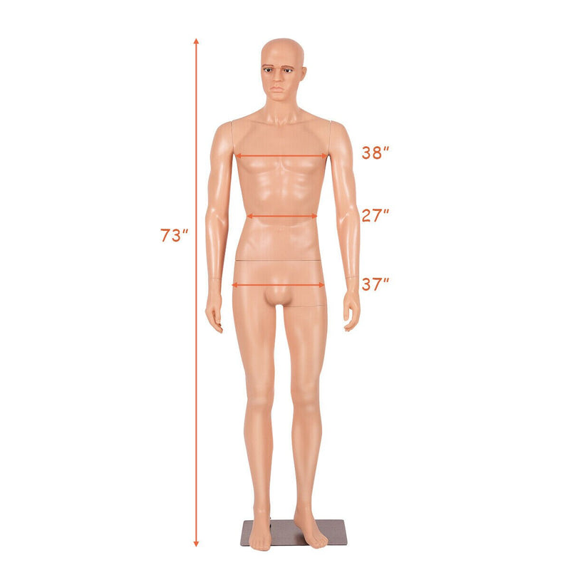 6 FT Male Mannequin Make-up Manikin Metal Stand Plastic Full Body Realistic New HW53953