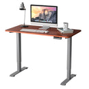 Electric Adjustable Standing Desk Stand up Workstation w/Control Teak