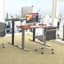 Electric Adjustable Standing Desk Stand up Workstation w/Control Teak