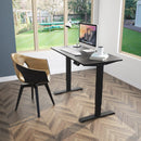 Electric Adjustable Standing Desk Stand up Workstation w/Control Black