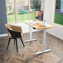 Electric Adjustable Standing Desk Stand up Workstation w/Control Maple