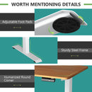 Electric Adjustable Standing Desk Stand up Workstation w/Control Maple