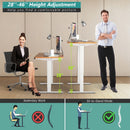 Electric Adjustable Standing Desk Stand up Workstation w/Control Maple