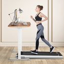 Electric Adjustable Standing Desk Stand up Workstation w/Control Maple