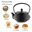Antique Japanese Style 700ML Durable Cast Iron Teapot Set Stainless Steel