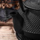 Antique Japanese Style 700ML Durable Cast Iron Teapot Set Stainless Steel