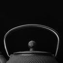 Antique Japanese Style 700ML Durable Cast Iron Teapot Set Stainless Steel