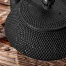 Antique Japanese Style 700ML Durable Cast Iron Teapot Set Stainless Steel