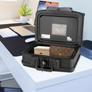 Fireproof Waterproof 30 Minute Safe Box with Lock and Handle